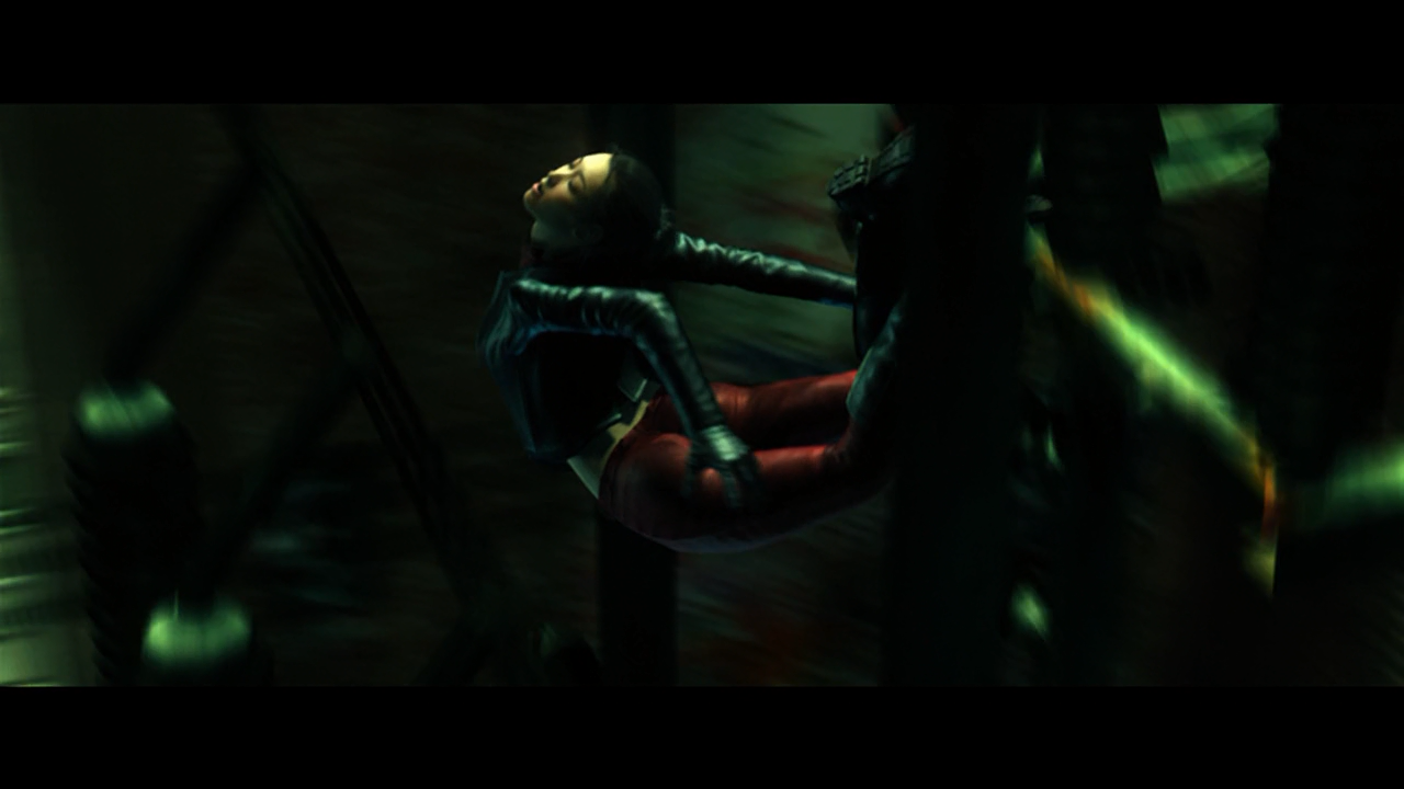 The Animatrix (Fansubber)